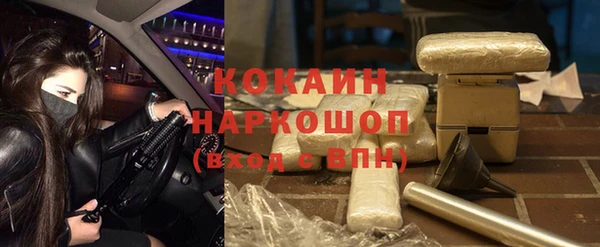 СК Горно-Алтайск