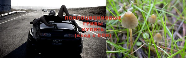 дмт Горнозаводск