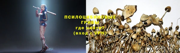 мяу мяу мука Горняк