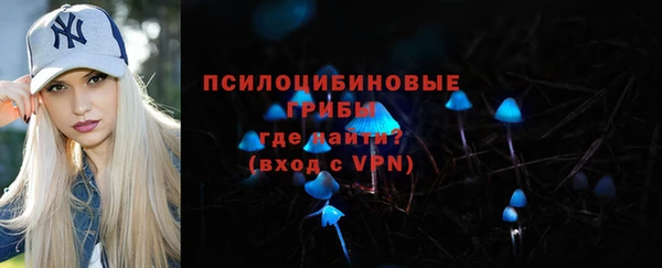 СК Горно-Алтайск
