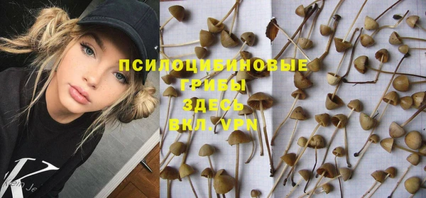 мяу мяу мука Горняк