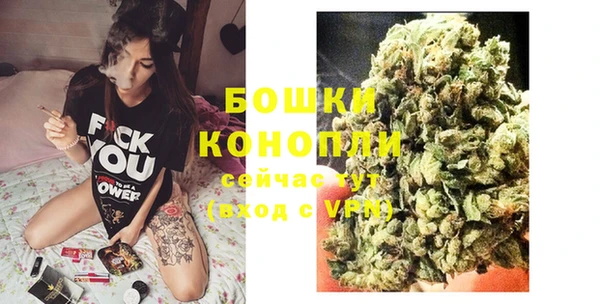 дмт Горнозаводск