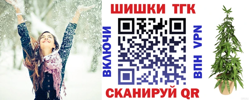 Купить закладки  Бологое  Каннабис сатива 